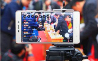 海鸥内饰爆料视频播放大全,尽览时尚与品质的完美融合 第3张 海鸥内饰爆料视频播放大全,尽览时尚与品质的完美融合 第3张